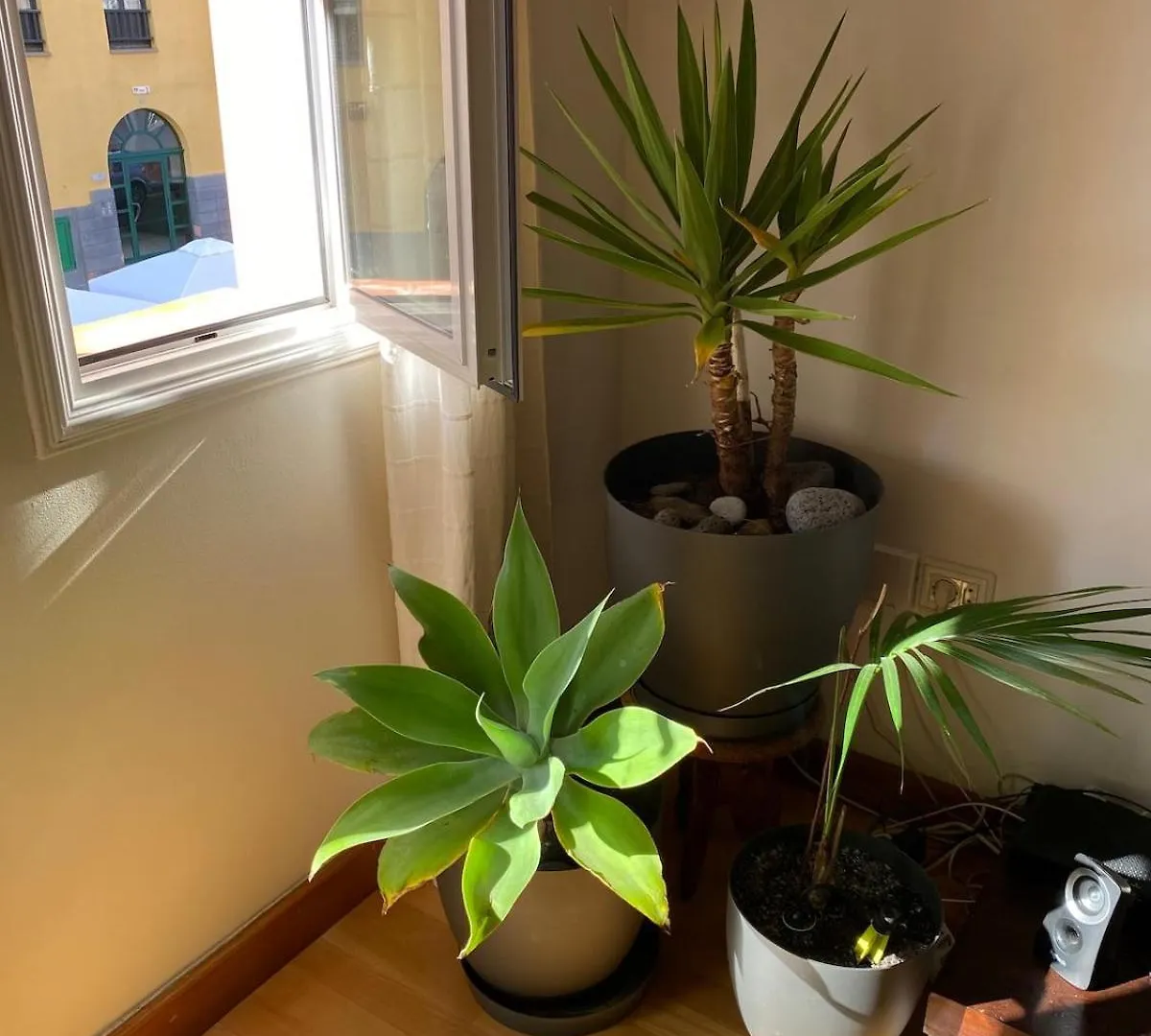 Casa Viva - Center Of Town And Close To The Beach 拉克鲁斯 公寓